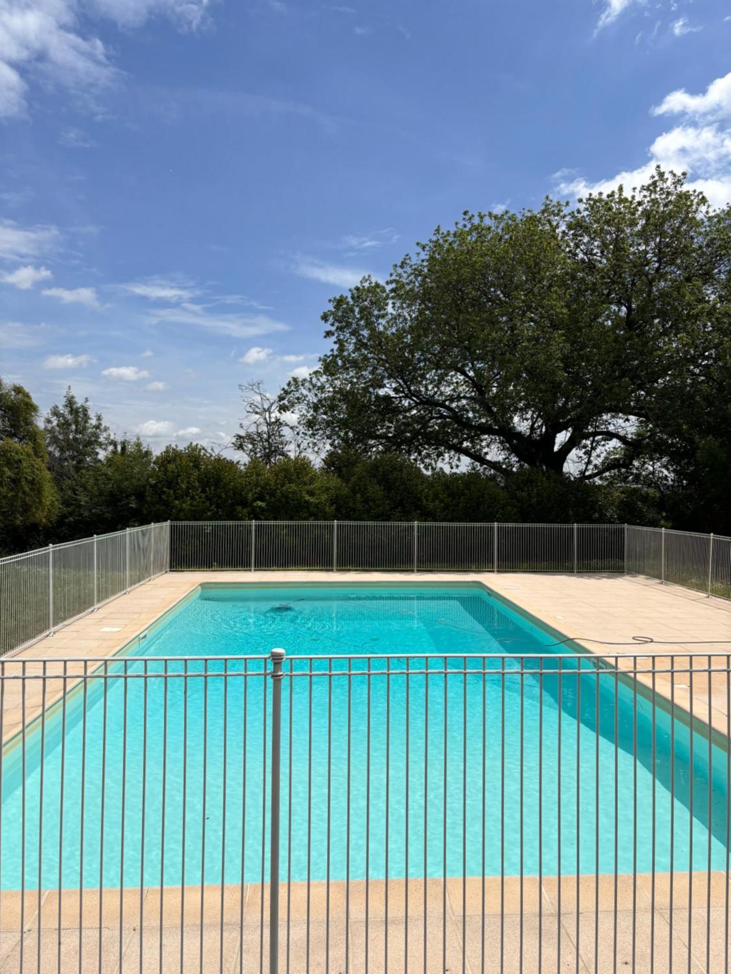 Charmant Appartement Toulouse Eksteriør billede
