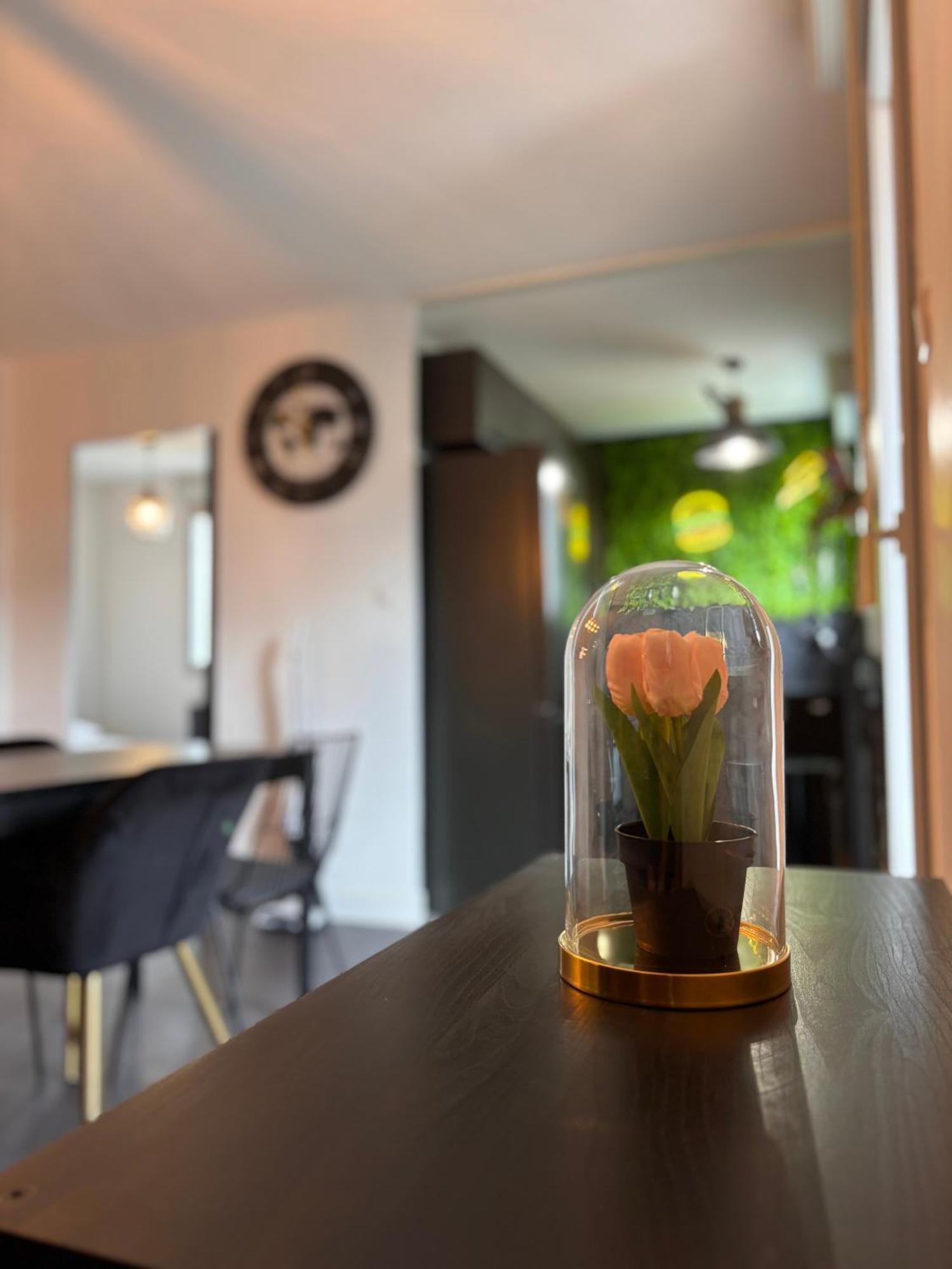 Charmant Appartement Toulouse Eksteriør billede